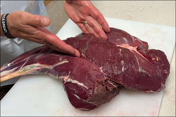 Tailgate to Table Fare: Lessons in Culinary Excellence for Hunters
