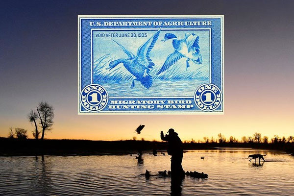 Federal Duck Stamps May Become Electronically Accessible Nationwide
