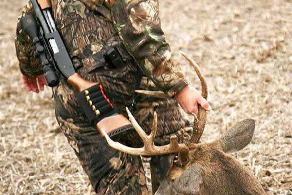 Field to Table: How to Care for Game Meat