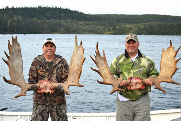Member's Hunt: A Tale of Two Moose