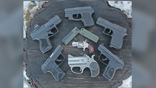 8 Smallest Handguns You Can Own