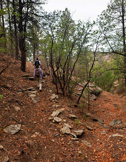 Hiking for All Seasons