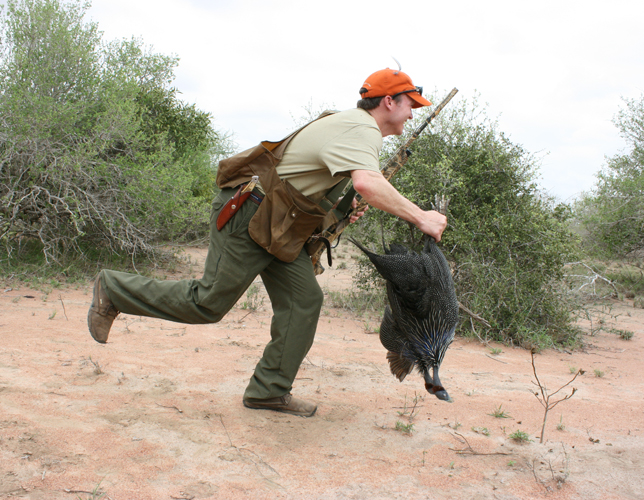 THE GUINEA RUNNER