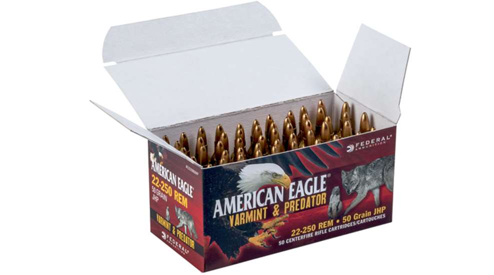 ameagle.jpg
