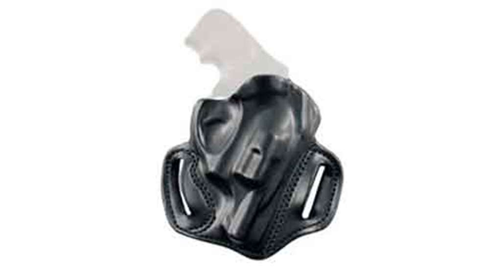 Desantis-for-Ruger-LCRsF.jpg