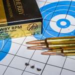 25 Weatherby RPM