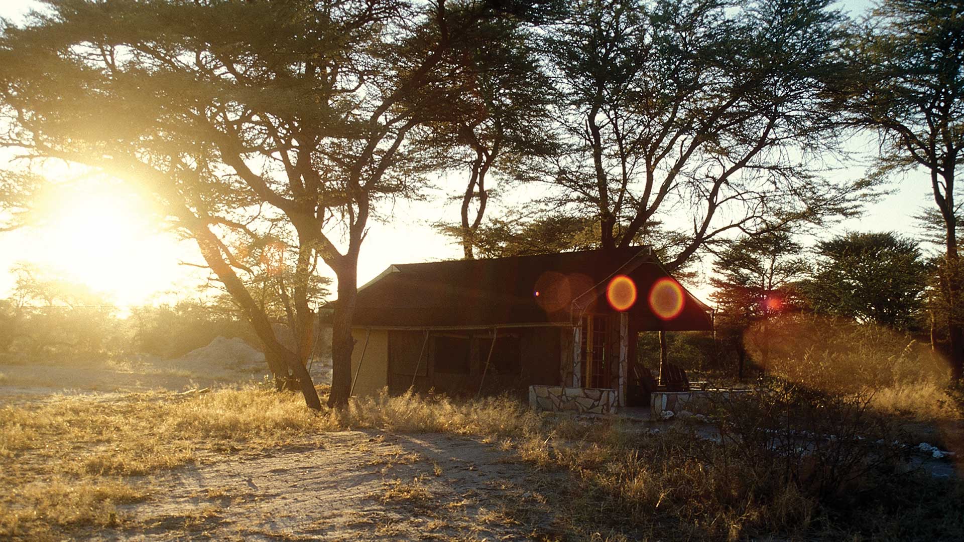 outdoors sunset trees africa hut house building shade