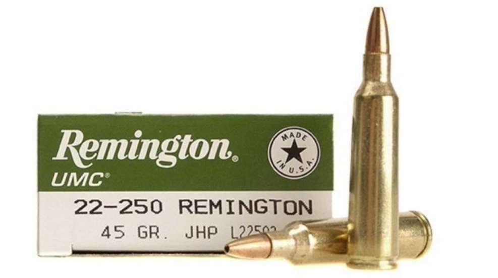 Campbell 22 250Rem 4