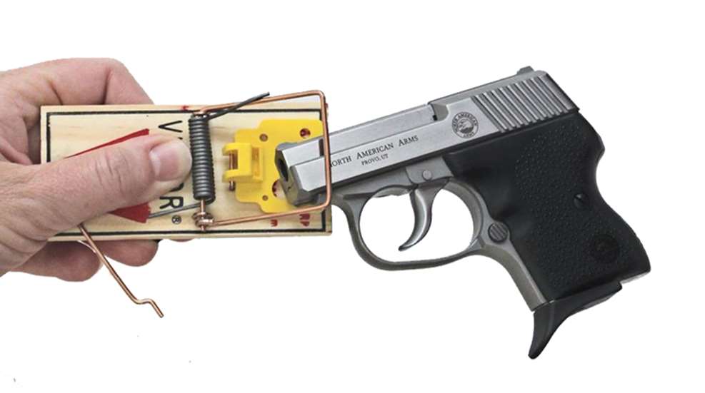 mouse_001_mgdb_w-cover-trap_01s.jpg
