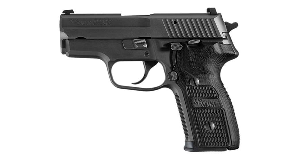 p229-carry.jpg