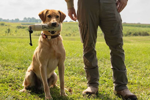 Winchester Debuts New Pet Products