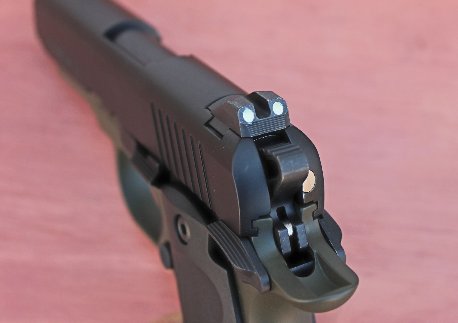 White dots on the rear sight of the TriStar Arms Protege X.