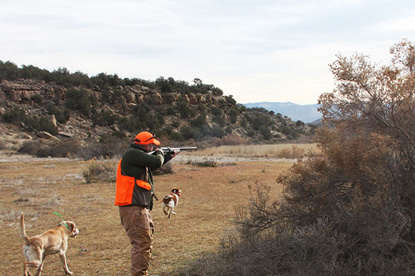 Remington V3 Shotgun: First Look