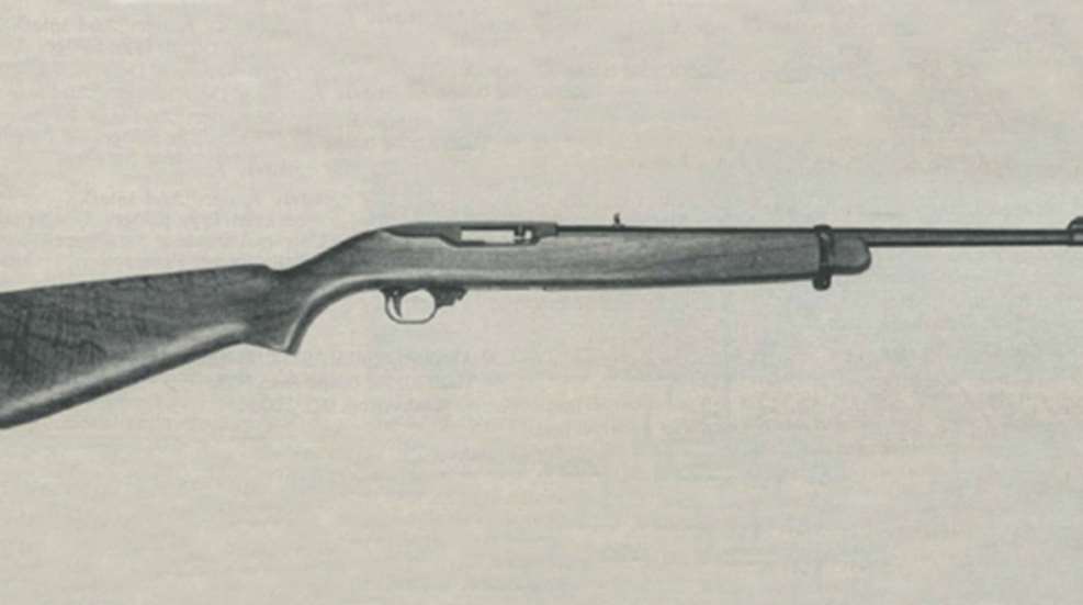 201132911733-ruger10-22_f.jpg