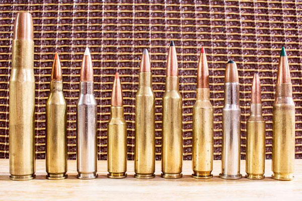 10 Great Low-Recoil Hunting Cartridges