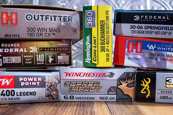 Top 10 Affordable, Quality Big-Game Ammo Loads