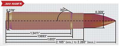 .300 HAM’R specs