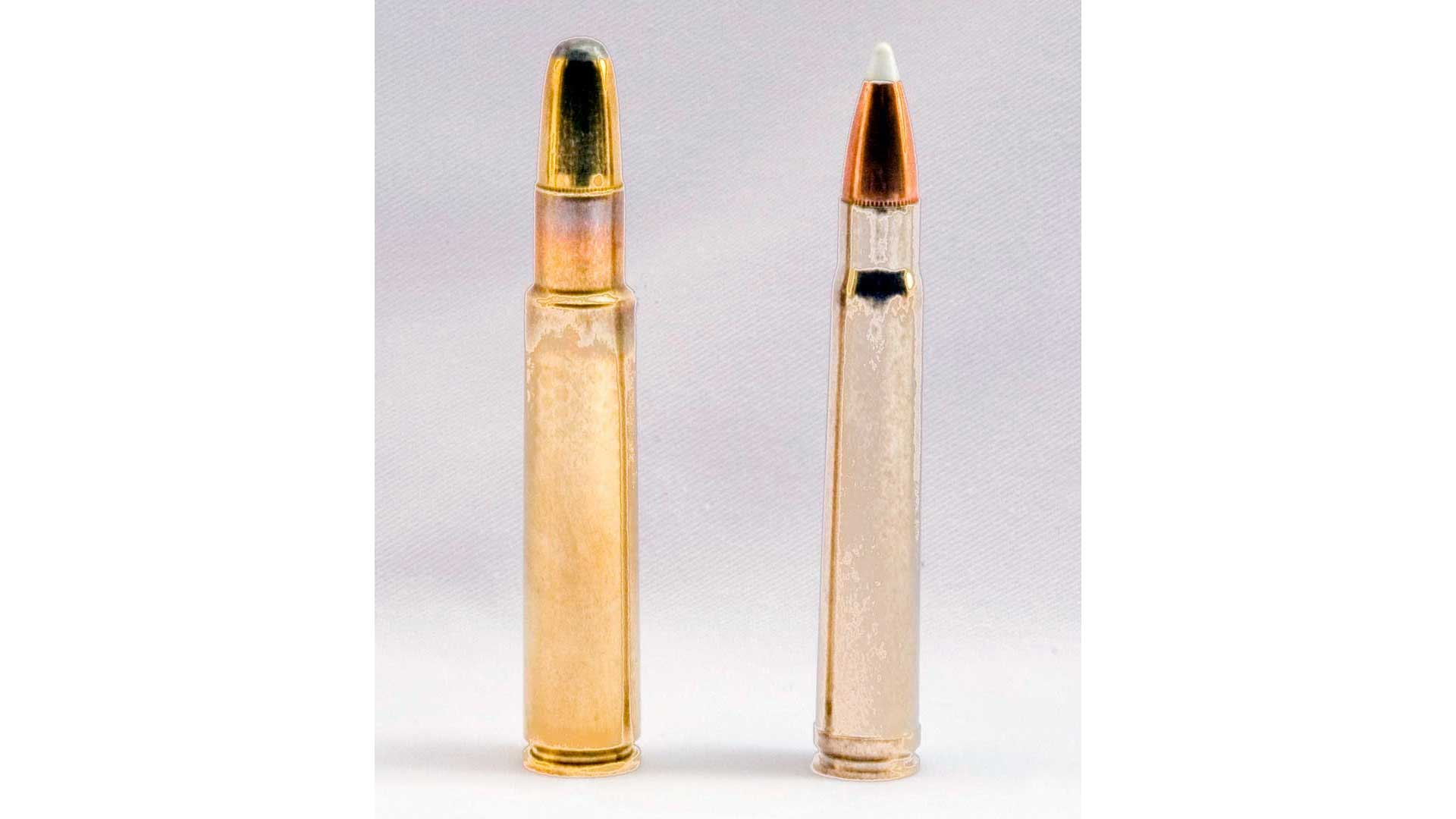 Two bullets vertical row side by side ammunition