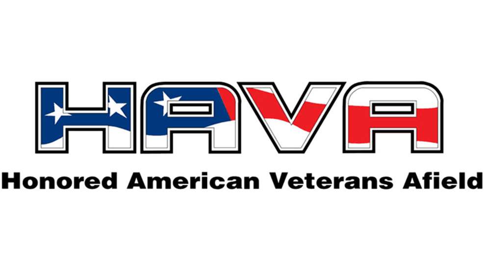 main-final-hava-logo.jpg