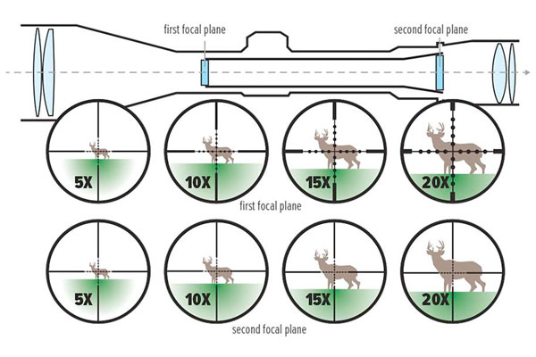 FFP vs. SFP Riflescopes for Hunting