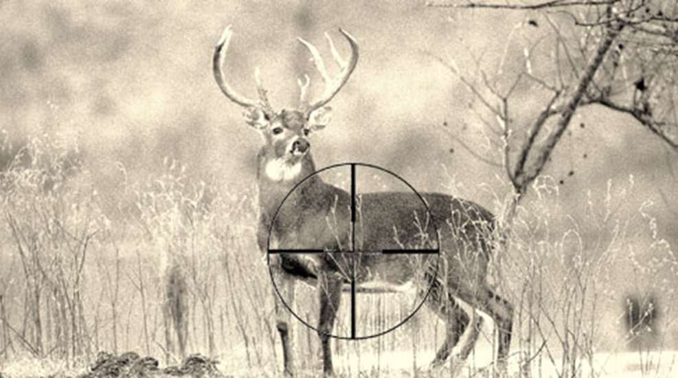 2013424102949-deer_reticle_f.jpg