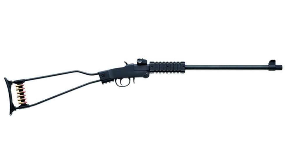 chiappa.jpg