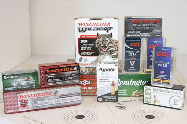 Narrowing the Field: .22 LRs for Hunting