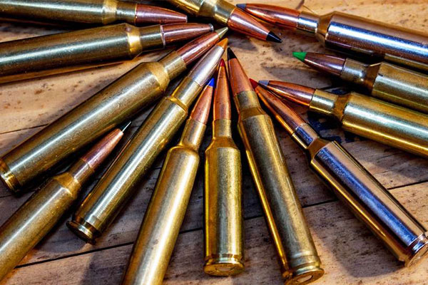 10 Most Versatile Long-Range Hunting Cartridges
