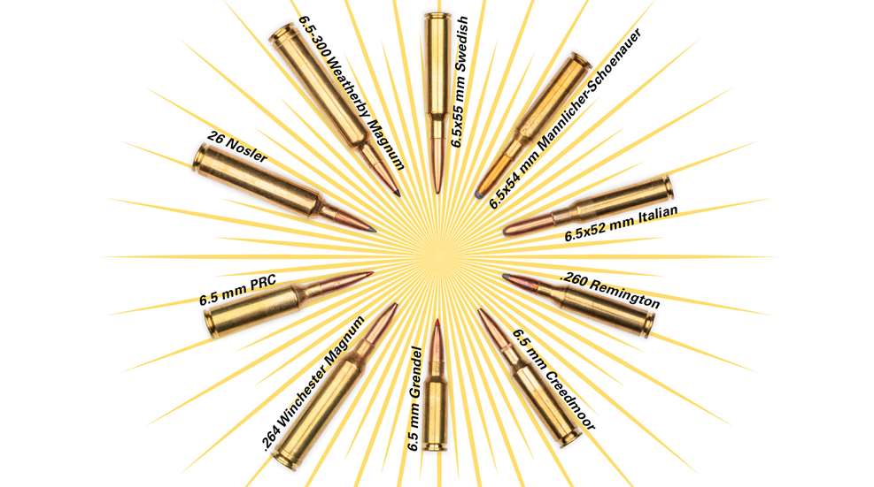 10 Six-Five Cartridges