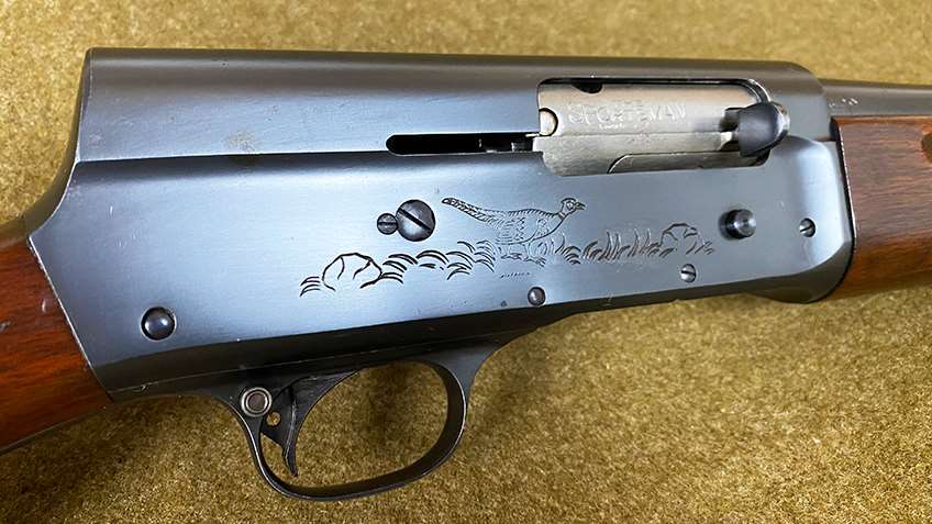 The &quot;game scene&quot; roll mark on the right side of the author&#x27;s Model 11 Sportsman, a pheasant walking through brush.