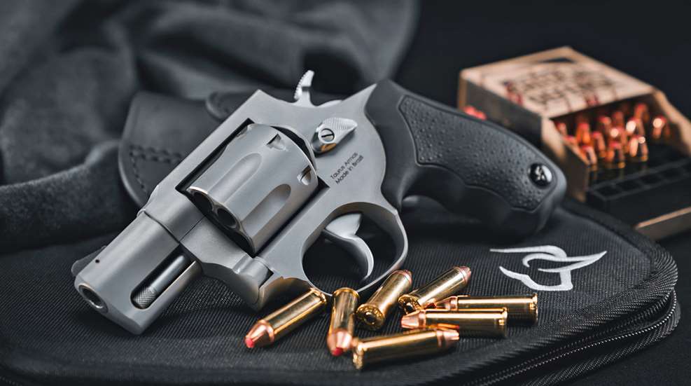 Taurus 817 01