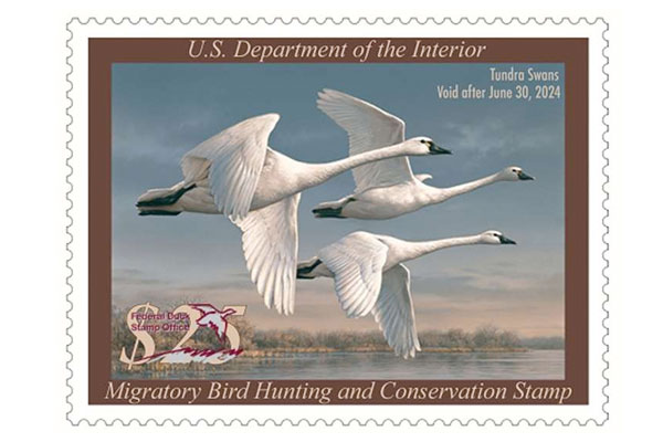 Duck Stamp Modernization Act Passes U.S. House