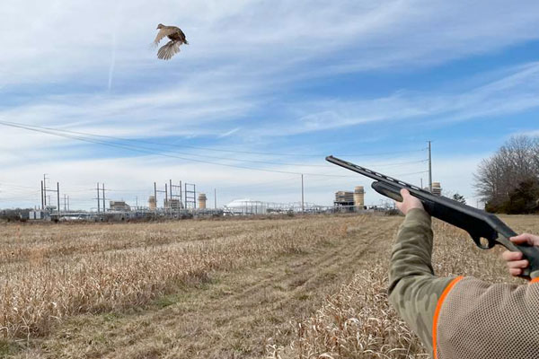 An Offseason Plan to Improve Your Wingshooting Skills