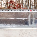 Subsonic Ammo 101: Everything The Suppressor Shooter Should Know | An Official Journal Of The NRA