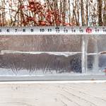 Subsonic Ammo 101: Everything The Suppressor Shooter Should Know