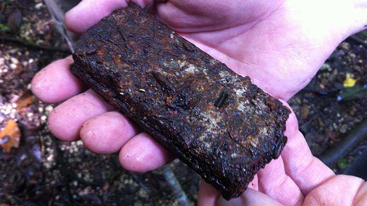 A loaded M1 Carbine magazine that the author found on the Battle of Peleliu Jungle Trail during a visit there on March 28, 2017.