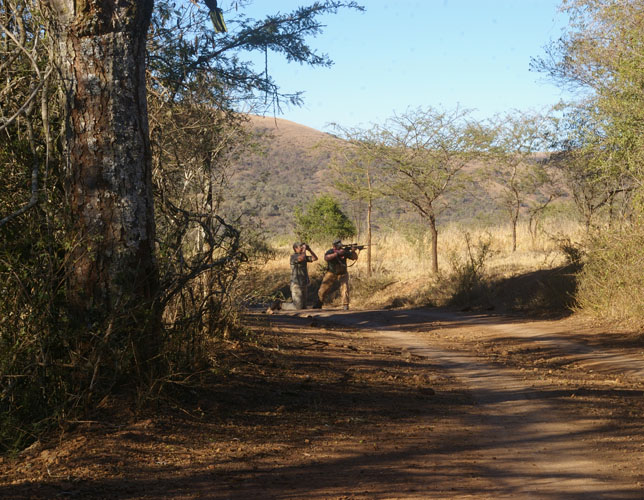 More Bushbuck