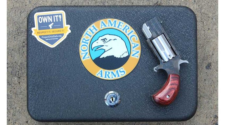 'The Dude' Mini Revolver: A Limited-Edition Gun From NAA | An Official Journal Of The NRA