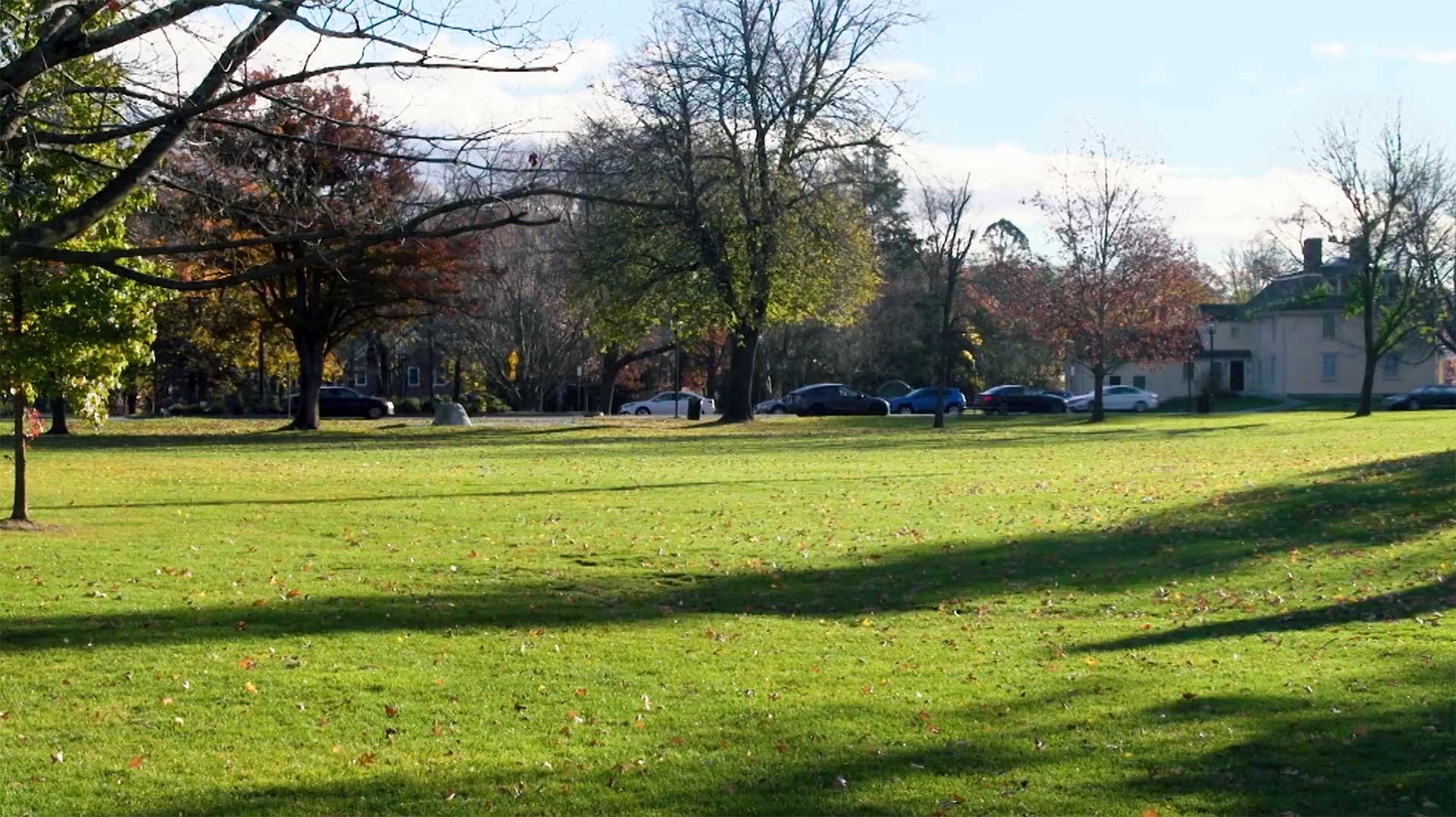 A green village square, dotted by trees with a house standing on the horizon at the right.