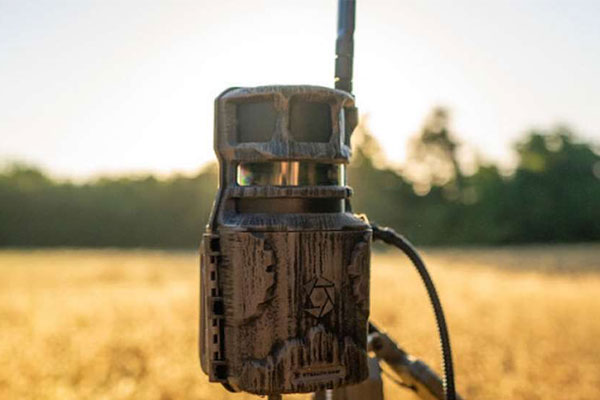 Stealth Cam Adds On-Demand Livestream