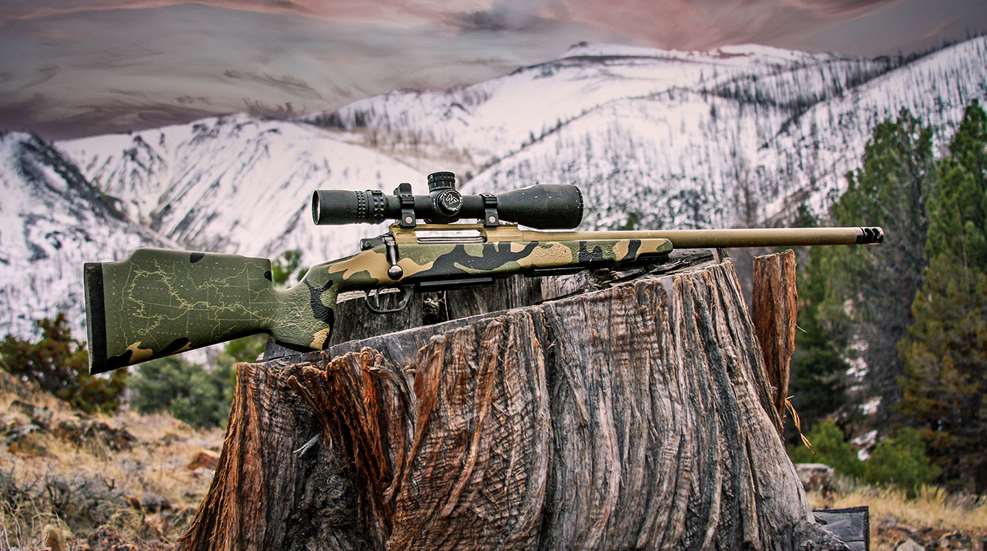 Watchtower Bridger 01