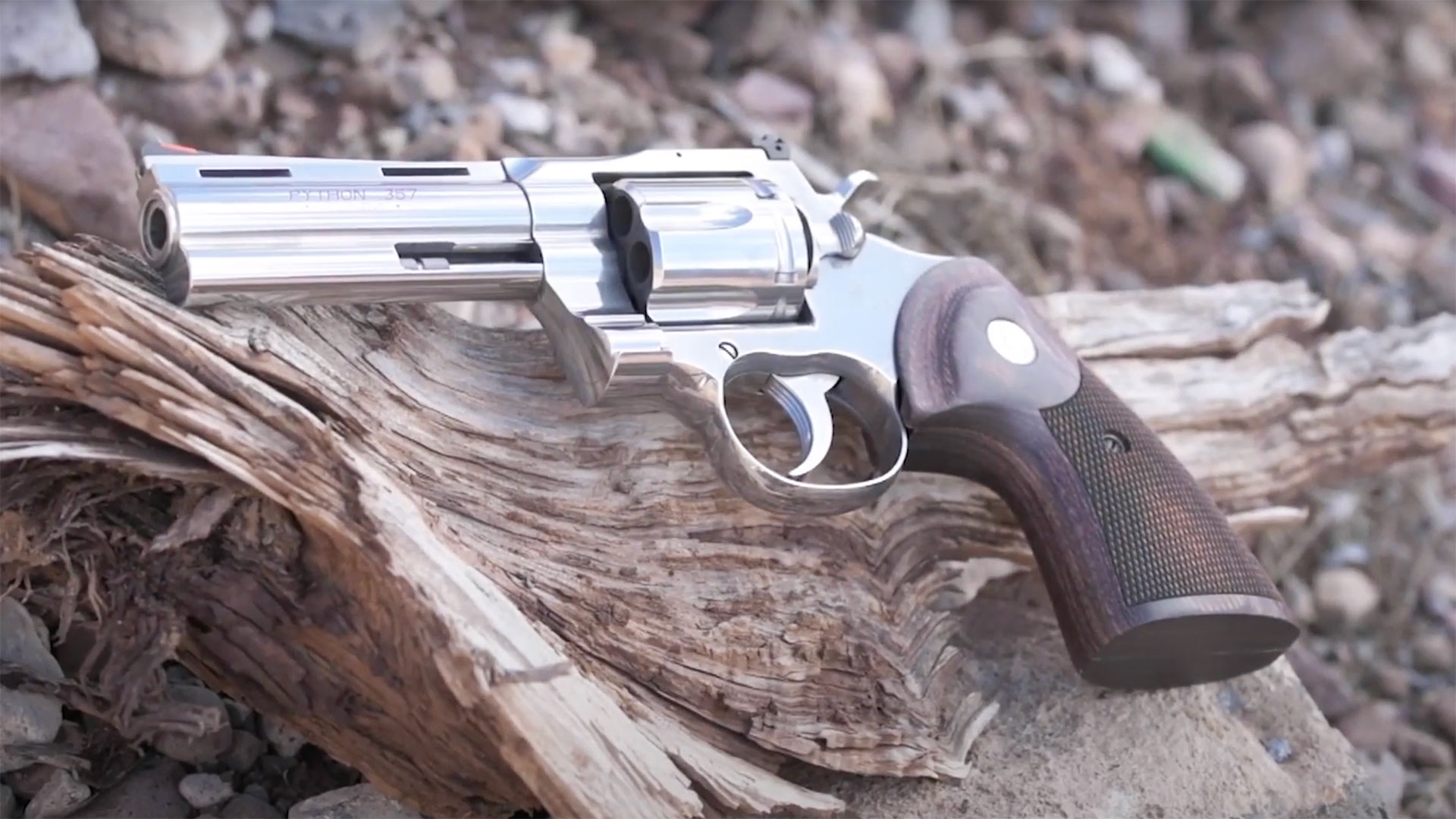 One of the newer production Colt Python revolvers chambered in .357 Mag.