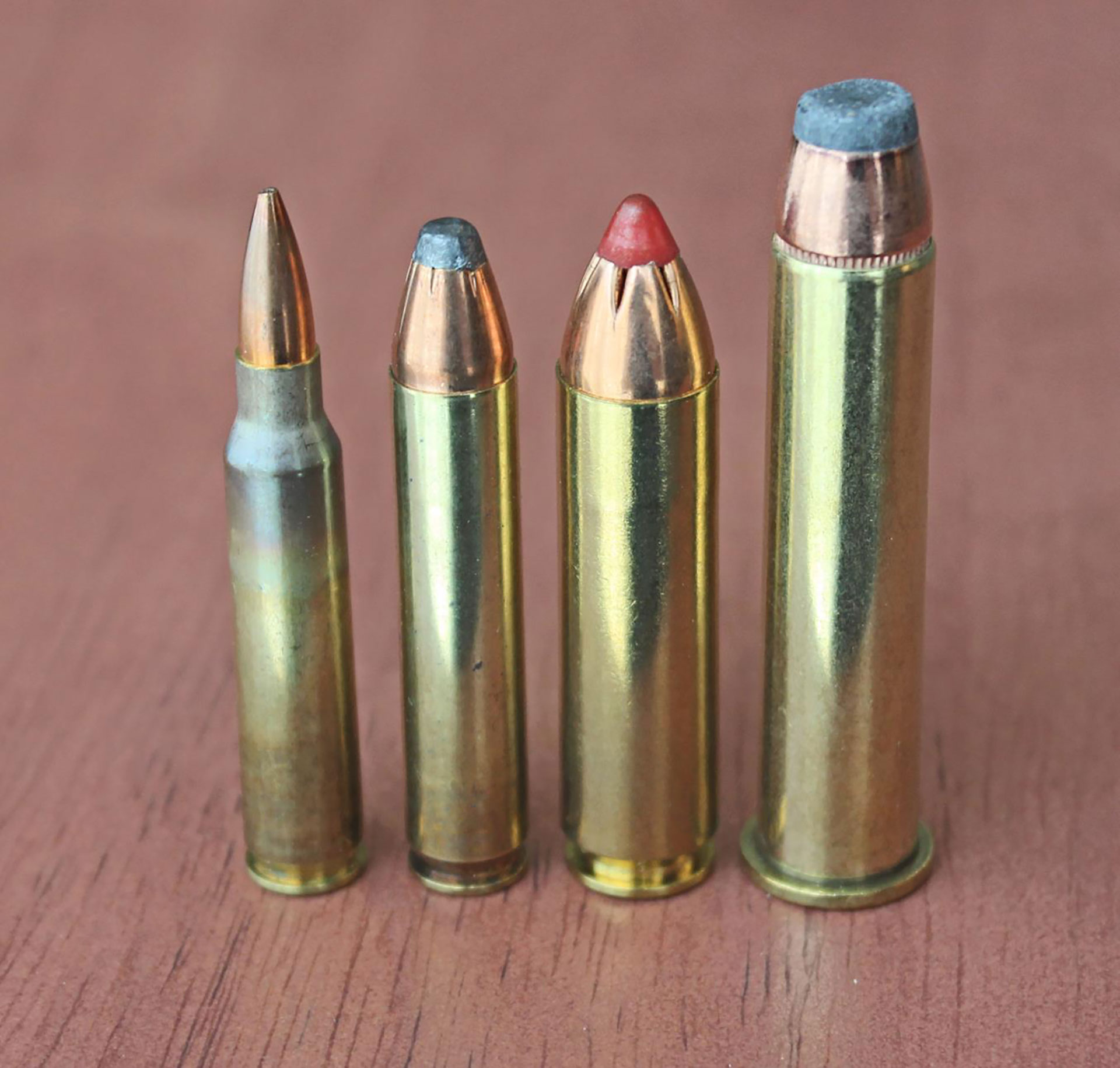 From left to right: .223 Rem., .350 Legend, .450 Bushmaster and .45-70 Gov’t.