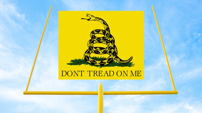 Fear & Loading: Pages from the Sanctuary Playbook | An Official Journal Of The NRA