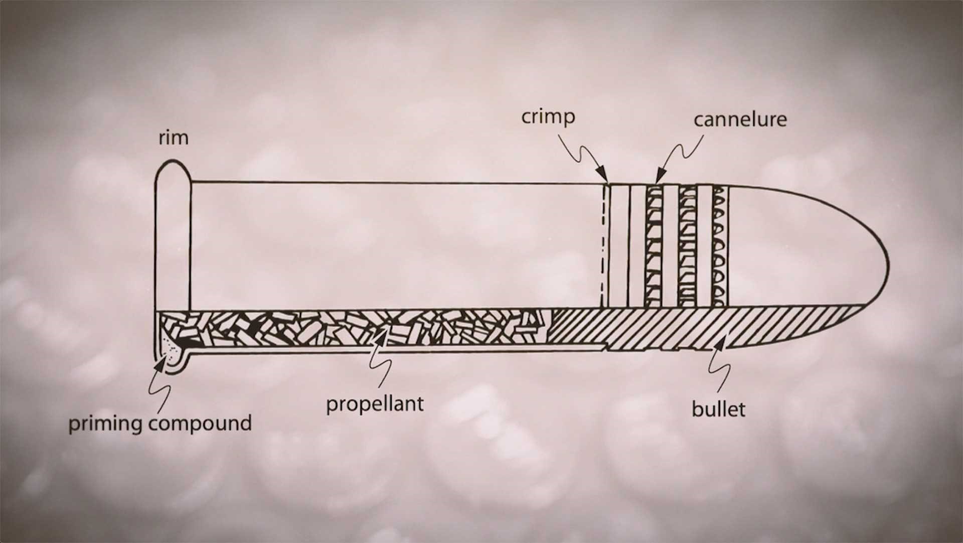 A diagram of a .22 Long Rifle cartridge, showing its component parts.