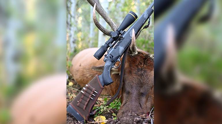 Field Notes: Weatherby Mark V Live Wild | An Official Journal Of The NRA