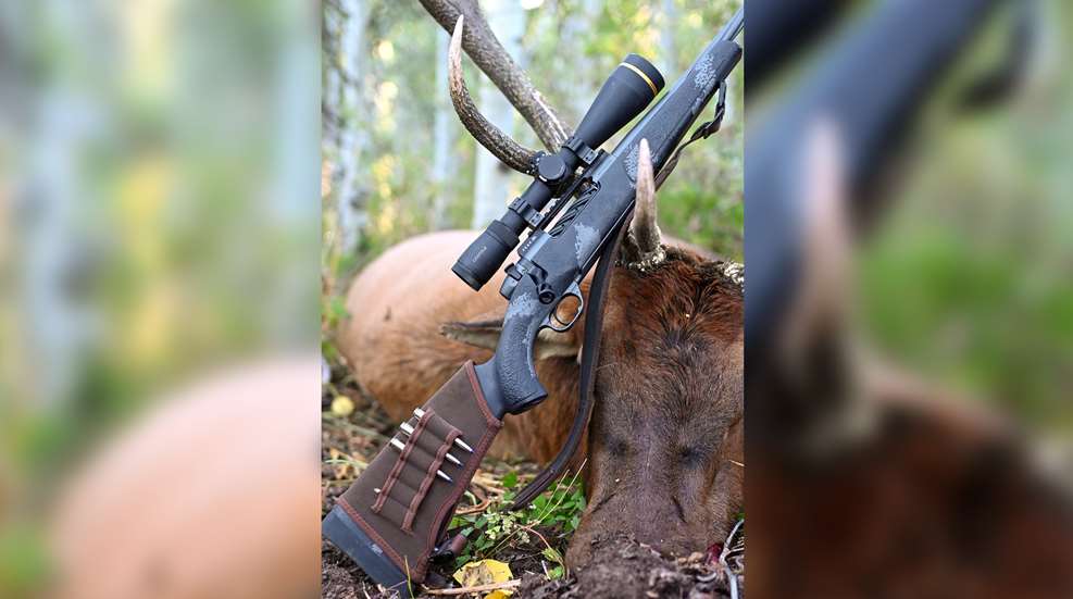 Weatherby Mark V Live Wild