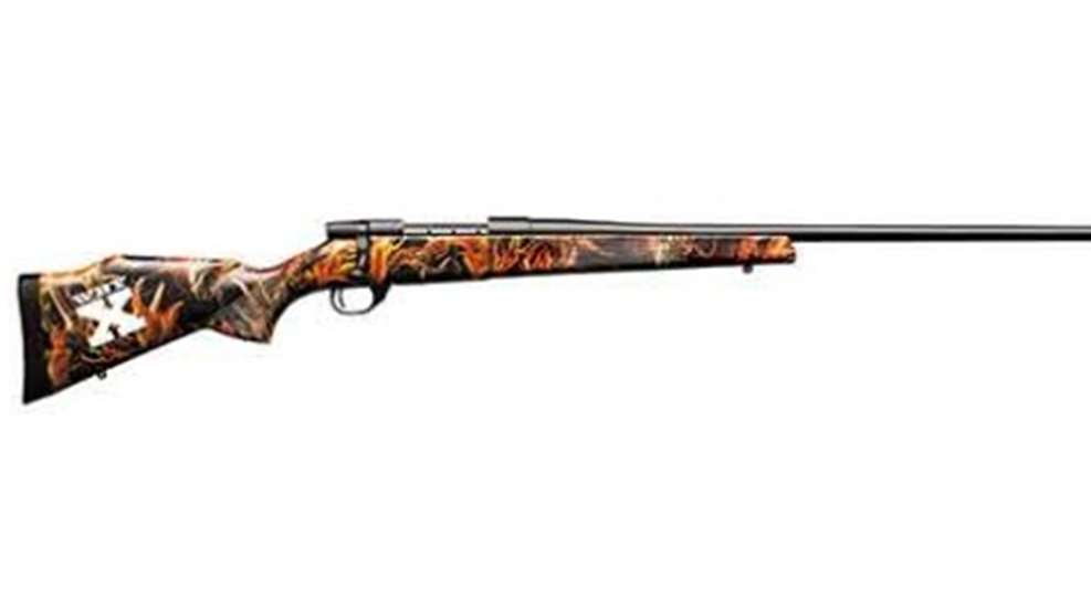 wbyx_s2_blaze-500x266.jpg