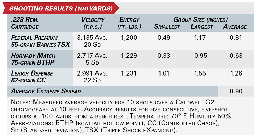 bushmaster v-radicator shooting results