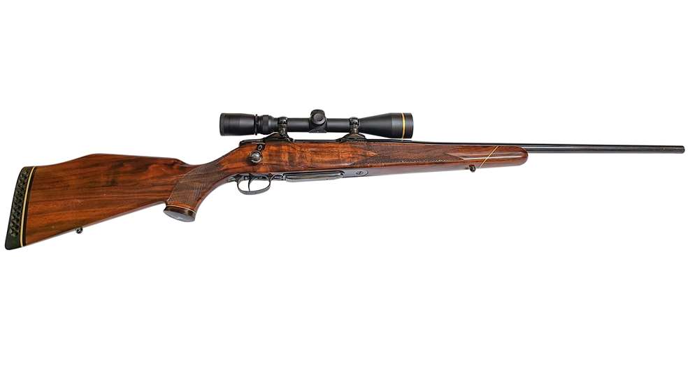 Colt Sauer
